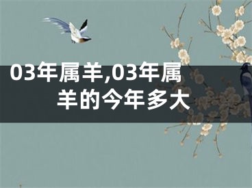 03年属羊,03年属羊的今年多大