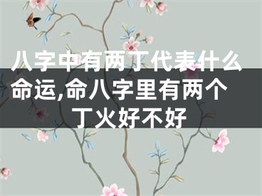 八字中有两丁代表什么命运,命八字里有两个丁火好不好