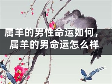属羊的男性命运如何，属羊的男命运怎么样
