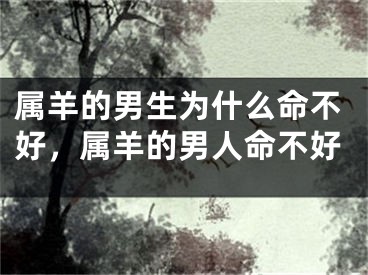 属羊的男生为什么命不好，属羊的男人命不好