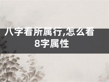 八字看所属行,怎么看8字属性