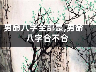 男命八字全部是,男命八字合不合