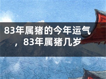 83年属猪的今年运气,83年属猪几岁