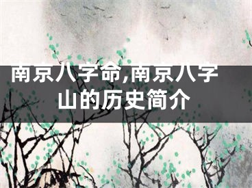 南京八字命,南京八字山的历史简介