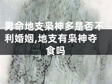 男命地支枭神多是否不利婚姻,地支有枭神夺食吗