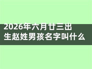 2026年六月廿三出生赵姓男孩名字叫什么