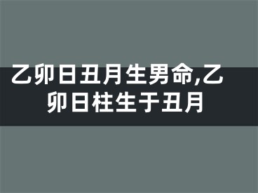 乙卯日丑月生男命,乙卯日柱生于丑月