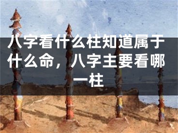 八字看什么柱知道属于什么命，八字主要看哪一柱