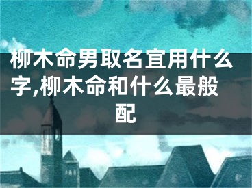 柳木命男取名宜用什么字,柳木命和什么最般配
