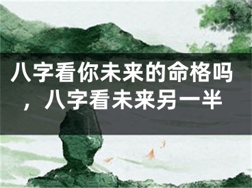八字看你未来的命格吗，八字看未来另一半