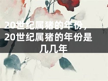 20世纪属猪的年份，20世纪属猪的年份是几几年