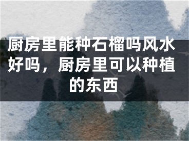厨房里能种石榴吗风水好吗，厨房里可以种植的东西