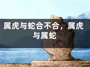 属虎与蛇合不合，属虎与属蛇