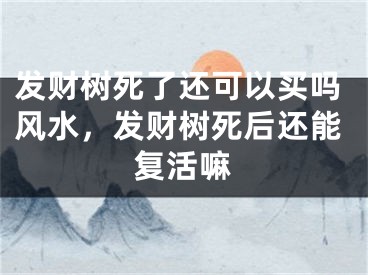 发财树死了还可以买吗风水,发财树死后还能复活嘛