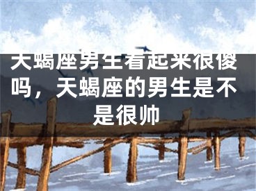 天蝎座男生看起来很傻吗，天蝎座的男生是不是很帅