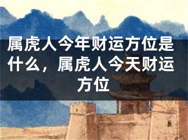 属虎人今年财运方位是什么，属虎人今天财运方位