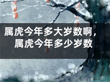 属虎今年多大岁数啊，属虎今年多少岁数