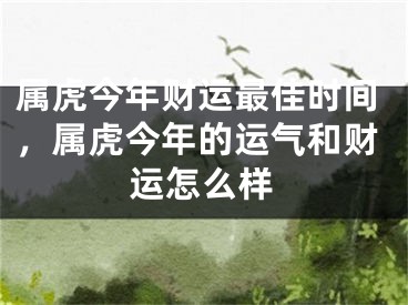 属虎今年财运最佳时间，属虎今年的运气和财运怎么样