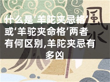 什么是‘羊陀夹忌格’或‘羊驼夹命格’两者有何区别,羊陀夹忌有多凶