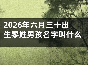 2026年六月三十出生黎姓男孩名字叫什么