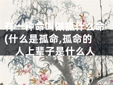 有一种命叫做孤什么命(什么是孤命,孤命的人上辈子是什么人