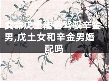 女命戊土能否驾驭辛金男,戊土女和辛金男婚配吗