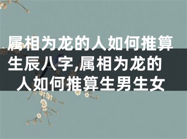 属相为龙的人如何推算生辰八字,属相为龙的人如何推算生男生女