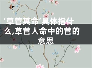 ‘草菅其命’具体指什么,草菅人命中的菅的意思