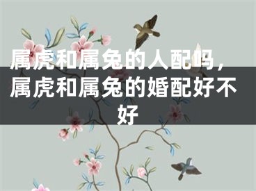 属虎和属兔的人配吗，属虎和属兔的婚配好不好