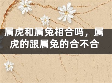 属虎和属兔相合吗，属虎的跟属兔的合不合