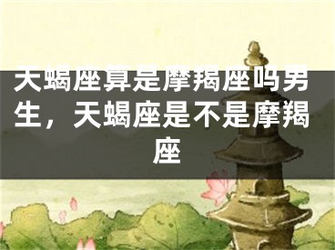 天蝎座算是摩羯座吗男生，天蝎座是不是摩羯座