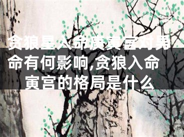 贪狼星入命庚寅宫对男命有何影响,贪狼入命寅宫的格局是什么