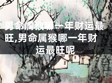 男命属猴哪一年财运最旺,男命属猴哪一年财运最旺呢