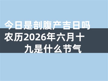 今日是剖腹产吉日吗 农历2026年六月十九是什么节气