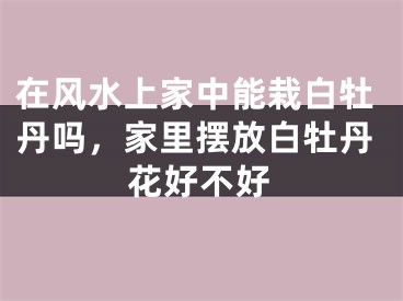 在风水上家中能栽白牡丹吗，家里摆放白牡丹花好不好