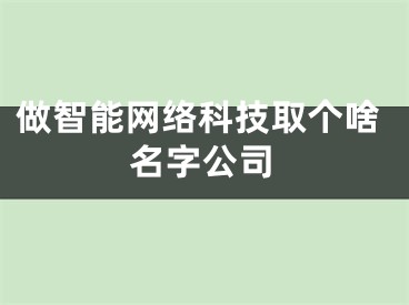 做智能网络科技取个啥名字公司