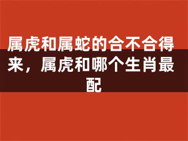 属虎和属蛇的合不合得来，属虎和哪个生肖最配