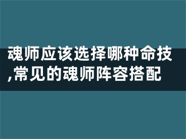 魂师应该选择哪种命技,常见的魂师阵容搭配