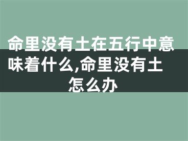 命里没有土在五行中意味着什么,命里没有土怎么办