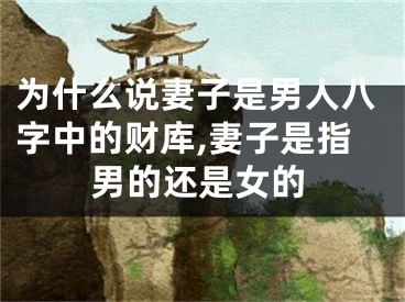 为什么说妻子是男人八字中的财库,妻子是指男的还是女的