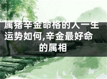 属猪辛金命格的人一生运势如何,辛金最好命的属相