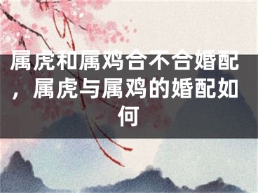 属虎和属鸡合不合婚配，属虎与属鸡的婚配如何