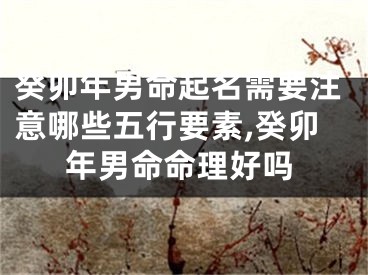 癸卯年男命起名需要注意哪些五行要素,癸卯年男命命理好吗