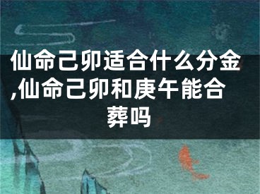 仙命己卯适合什么分金,仙命己卯和庚午能合葬吗