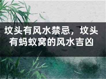 坟头有风水禁忌，坟头有蚂蚁窝的风水吉凶