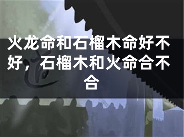 火龙命和石榴木命好不好，石榴木和火命合不合