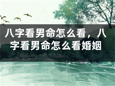 八字看男命怎么看，八字看男命怎么看婚姻