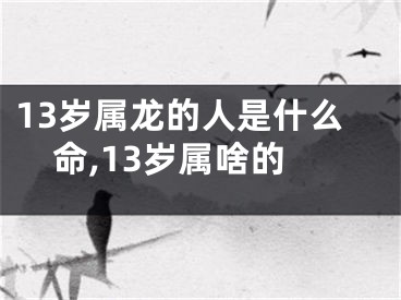 13岁属龙的人是什么命,13岁属啥的