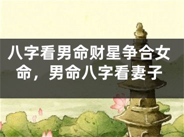 八字看男命财星争合女命，男命八字看妻子