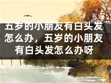 五岁的小朋友有白头发怎么办，五岁的小朋友有白头发怎么办呀